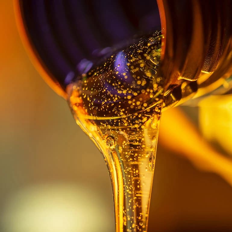 Los principales contaminantes que afectan la calidad de tu lubricante.webp