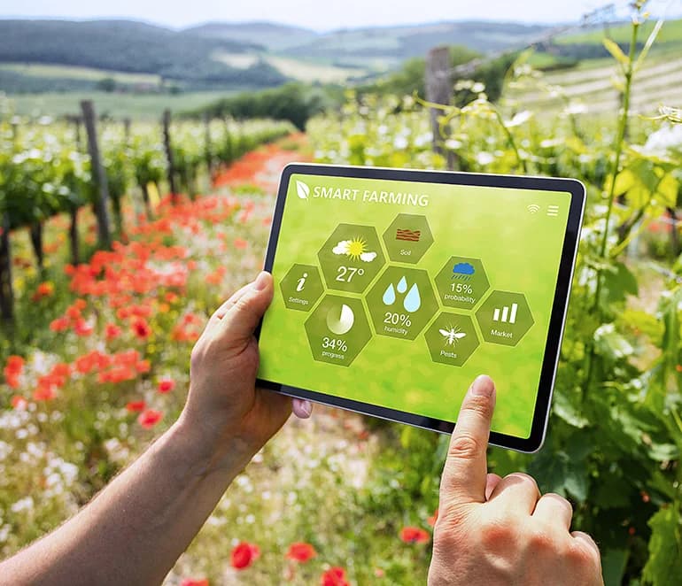 Innovación en el sector agrícola tras la pandemia.webp